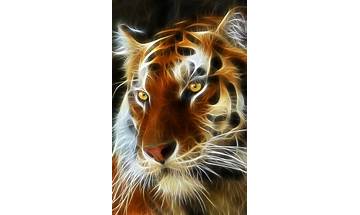 Leopard Series Live Wallpapers for Android - Download the APK from Habererciyes